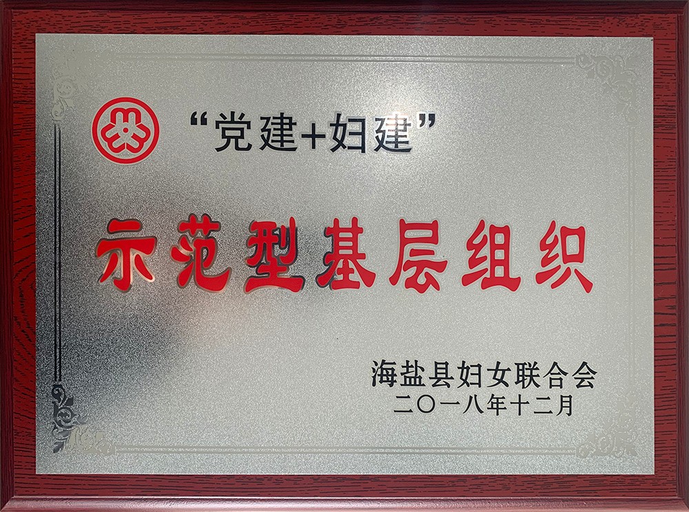 1552093962791746.jpg 201903集團(tuán)-海鹽縣“黨建+婦建”示范型基層組織.jpg