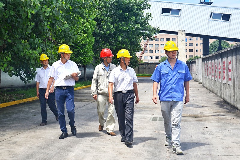 1589853415647025.jpg B (8).jpg